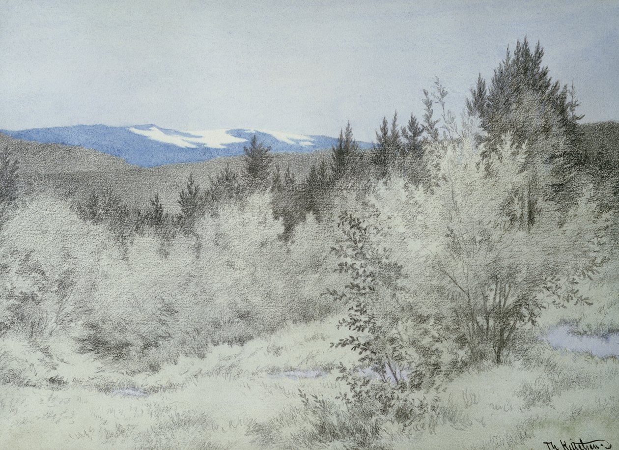 Lontano nella foresta da Theodor Kittelsen