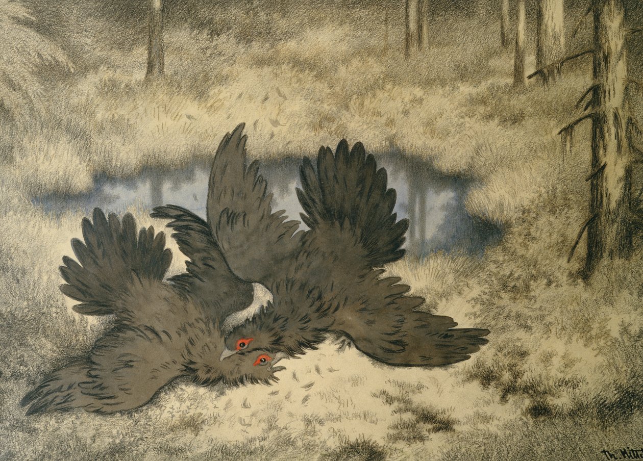 La lotta degli uccelli troll lì dentro da Theodor Kittelsen