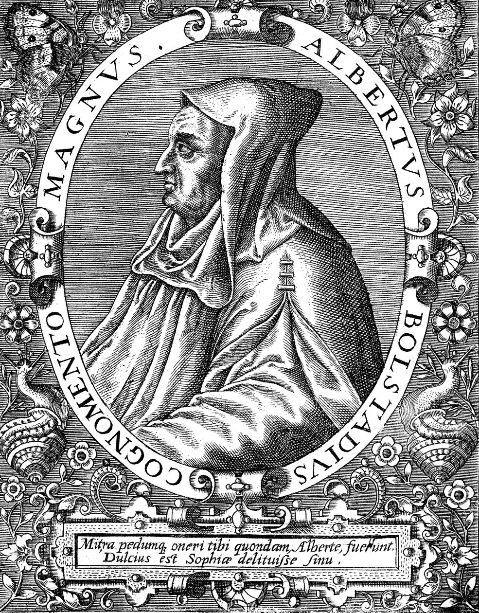 Albertus Magnus, frate domenicano tedesco da Theodor de Bry