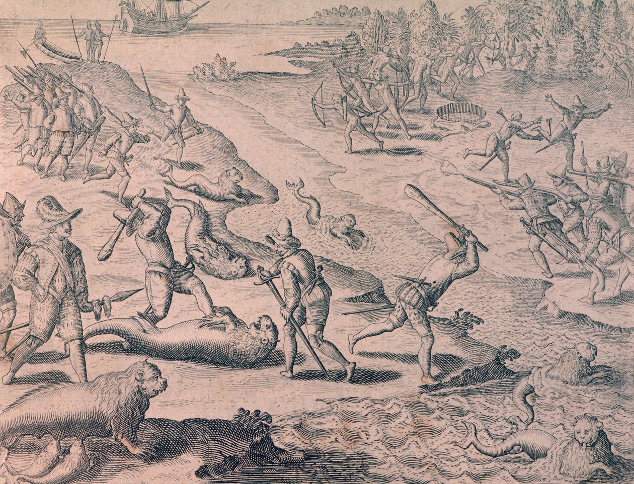 Massacro di leoni marini da parte degli esploratori da Theodor de Bry