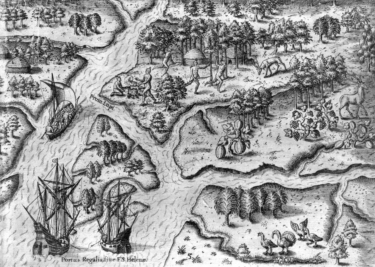 La spedizione francese sbarca a Port Royal, Florida da Theodor de Bry