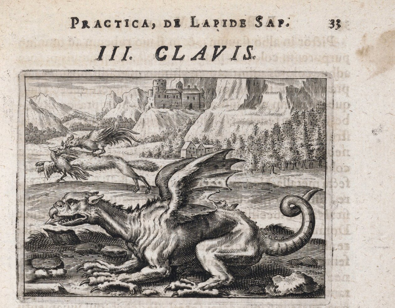 Un drago, sullo sfondo, un lupo ladro di galline, attaccato da un gallo da Theodor de Bry