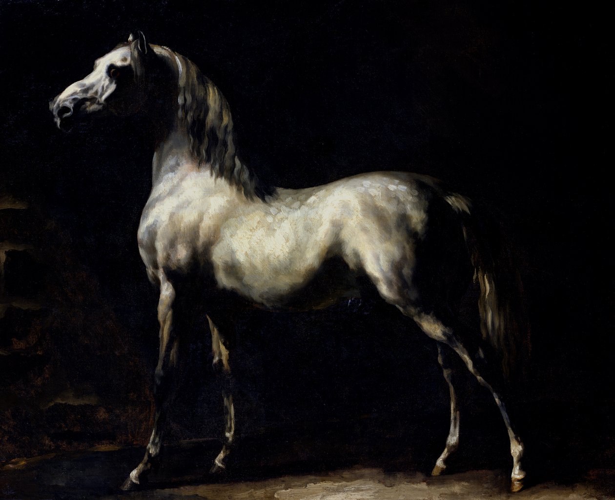 Studio di un grigio pomellato da Theodore Gericault