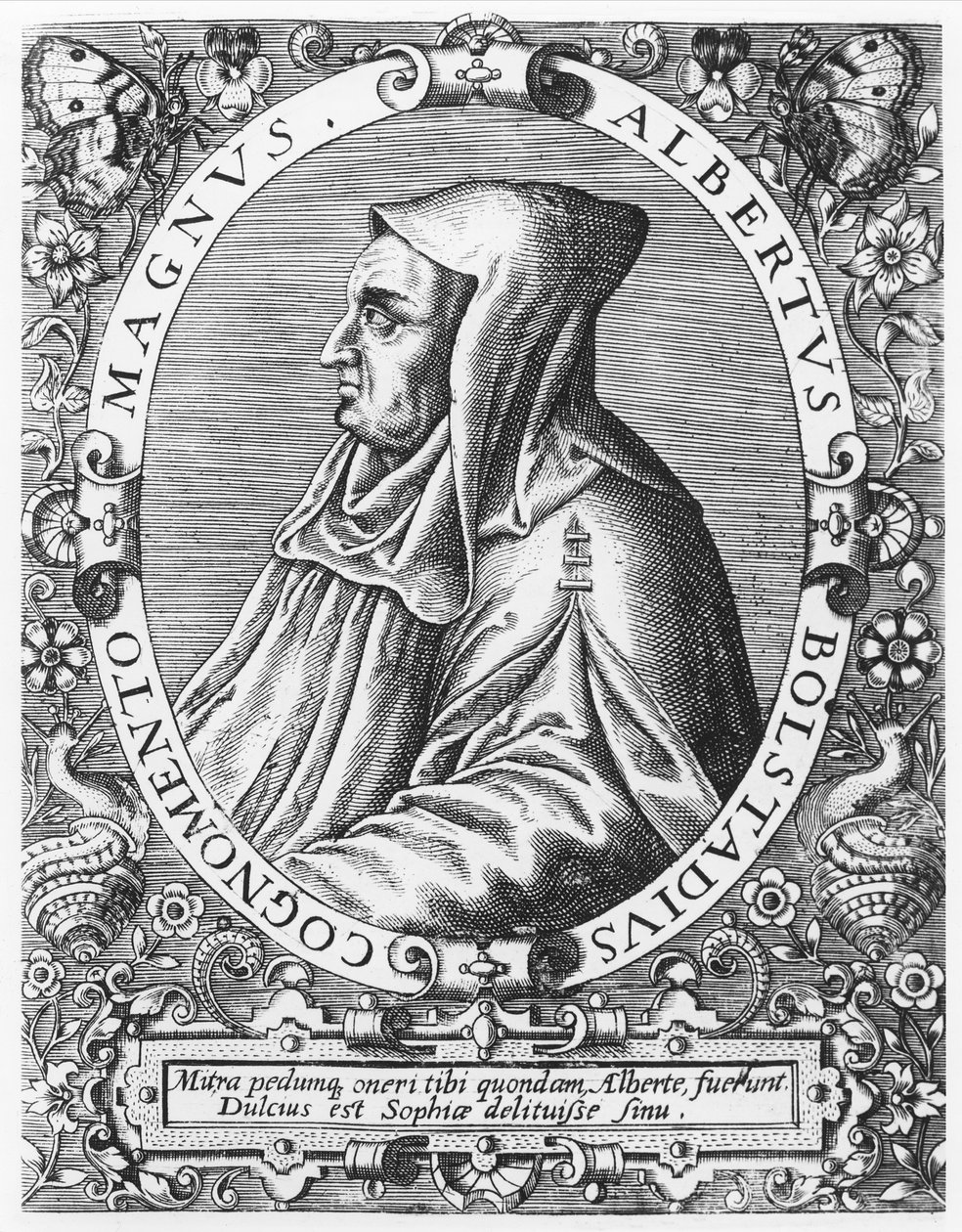 Alberto Magno da Theodore de Bry