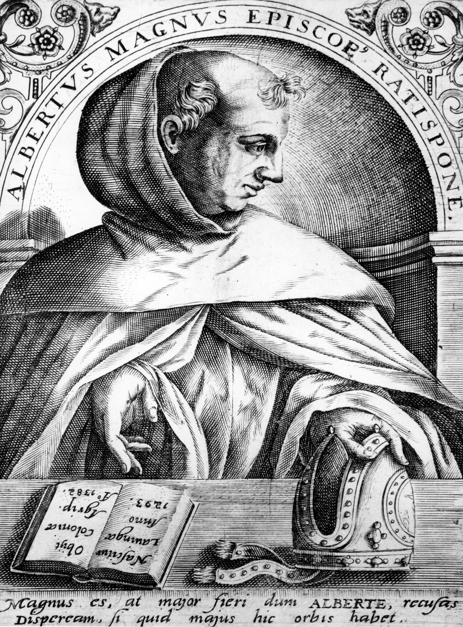 Albertus Magnus, illustrazione da 