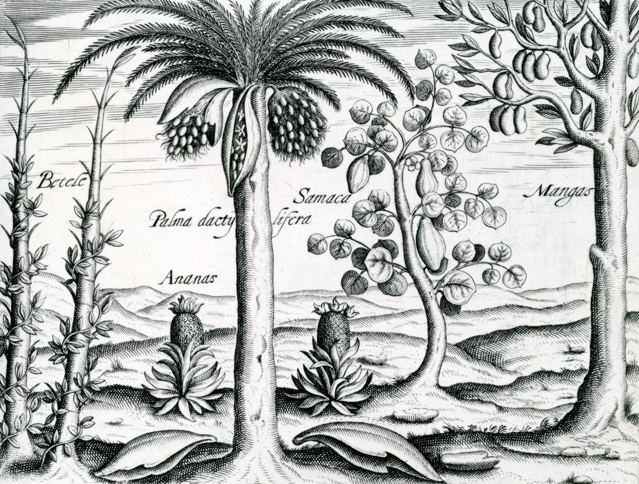 Paesaggio, illustrazione da 
