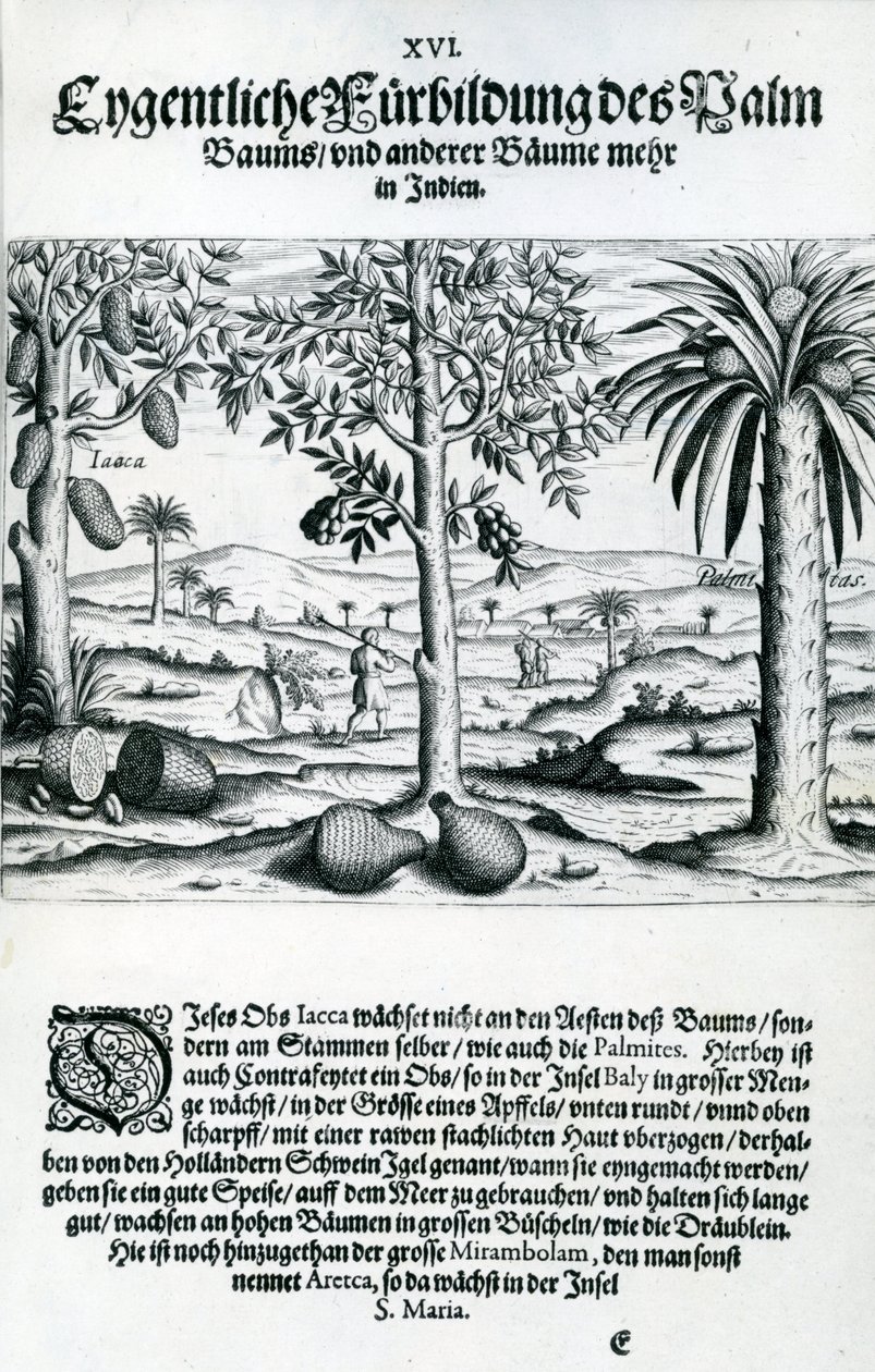 Paesaggio, illustrazione da 