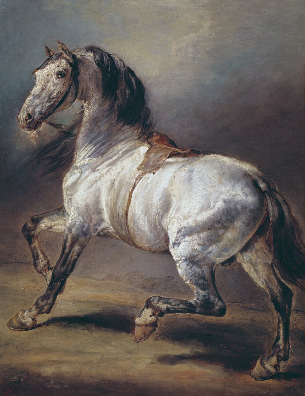 Studio di un cavallo da Theodore Gericault