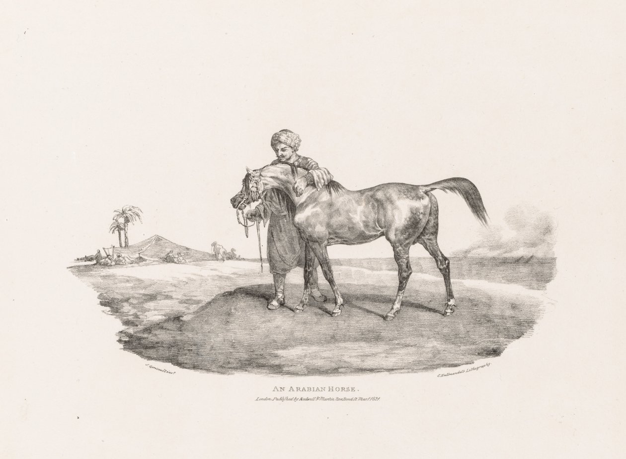 Un cavallo arabo da Theodore Gericault
