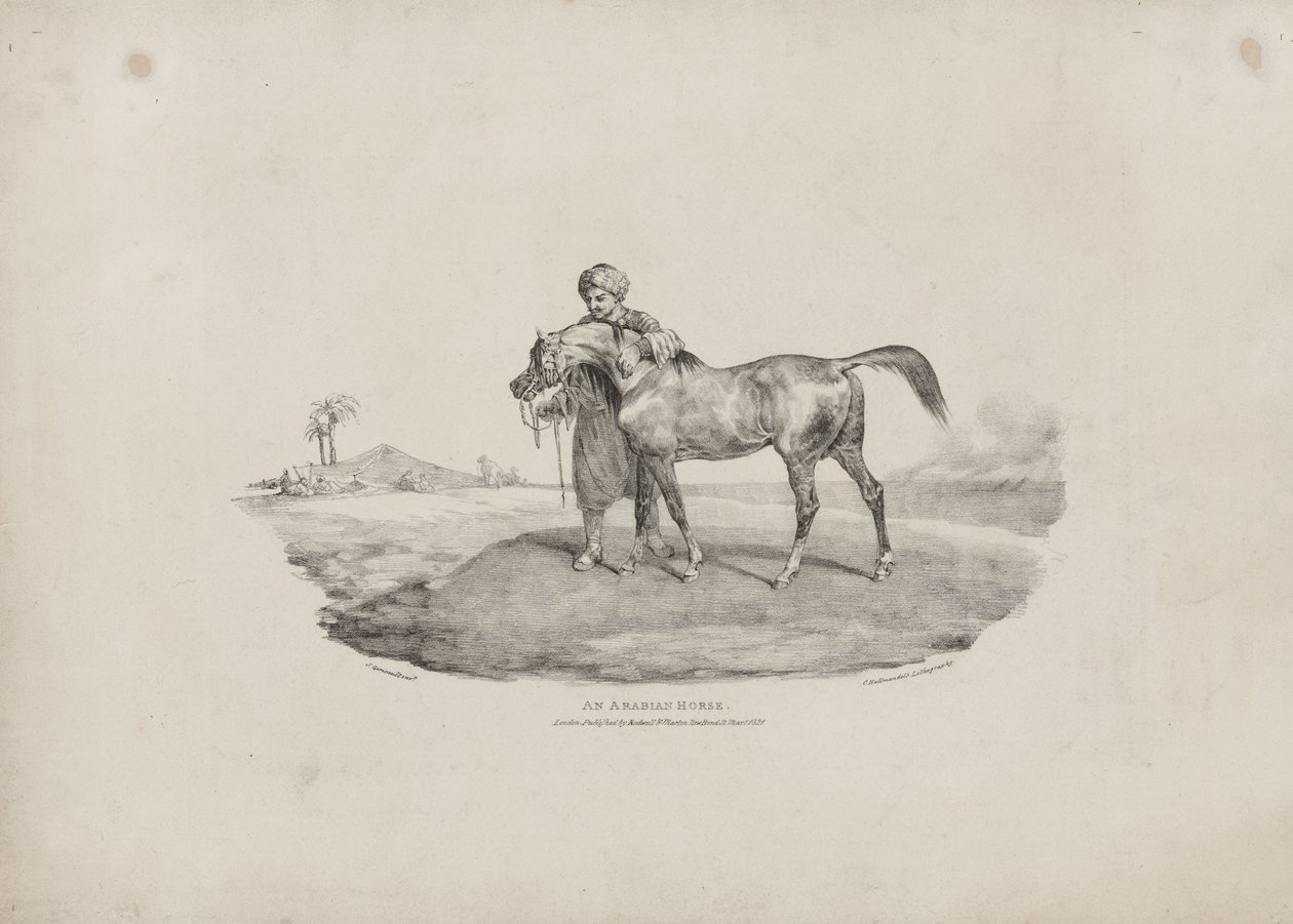 Un cavallo arabo da Theodore Gericault