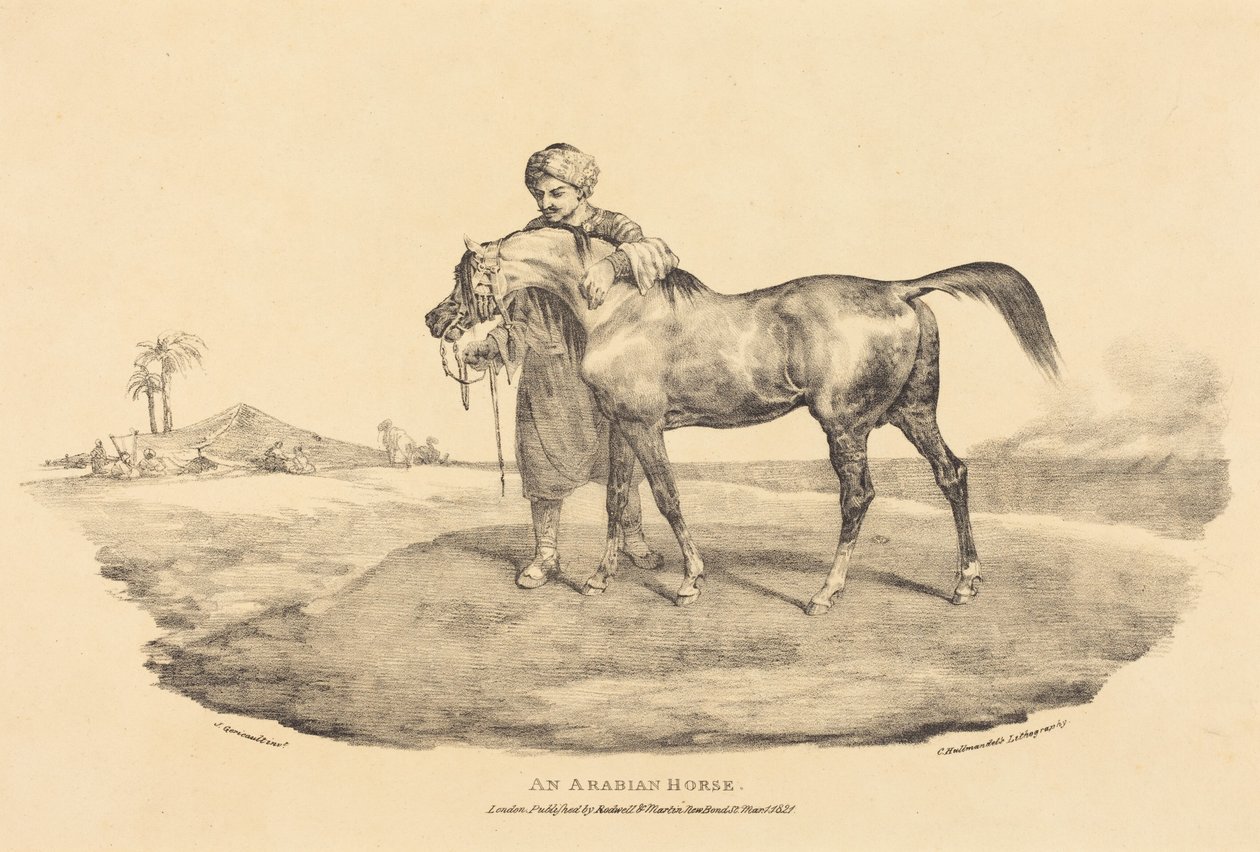 Un cavallo arabo da Theodore Gericault