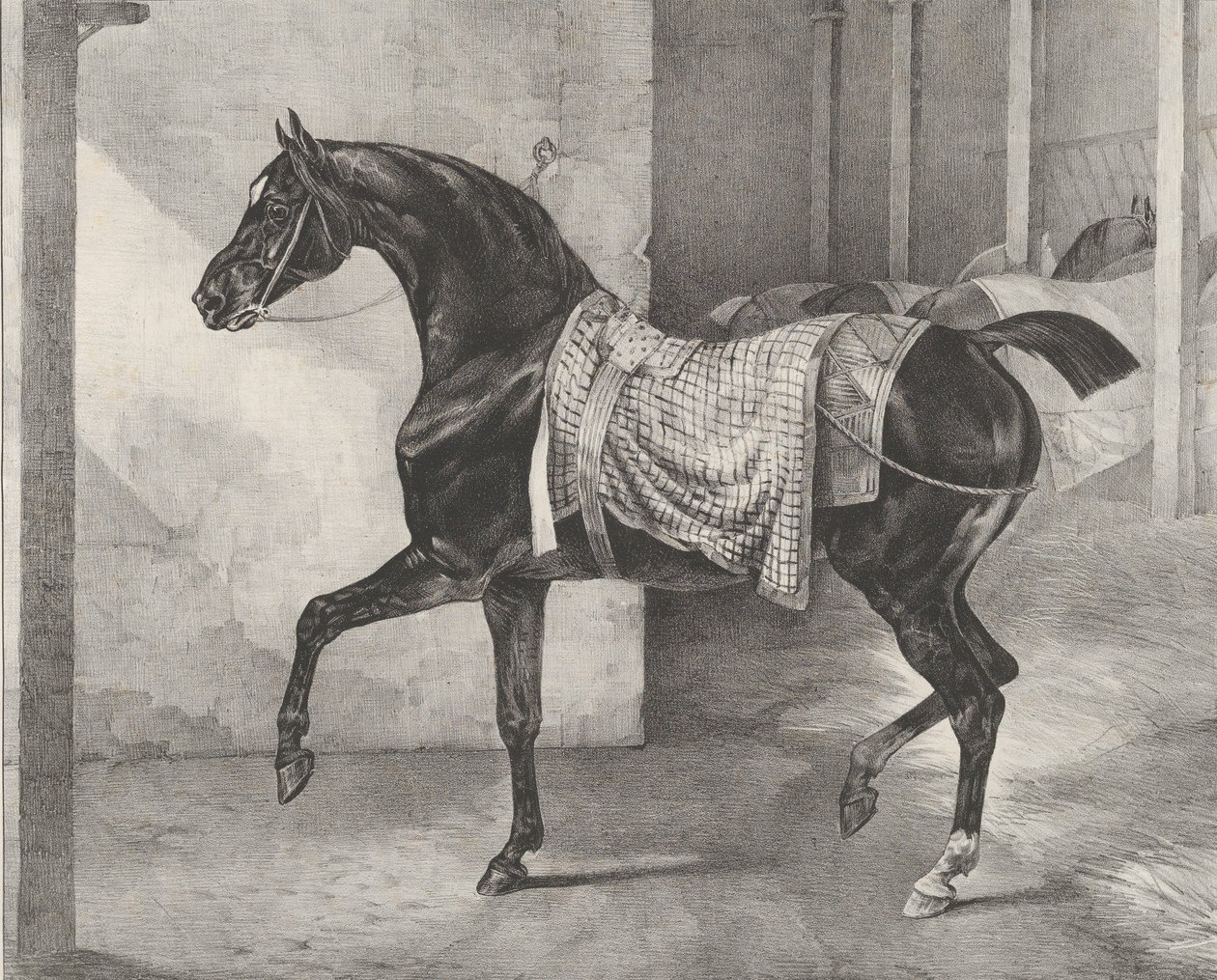 Cavallo nero legato in una stalla, 1822 da Theodore Gericault