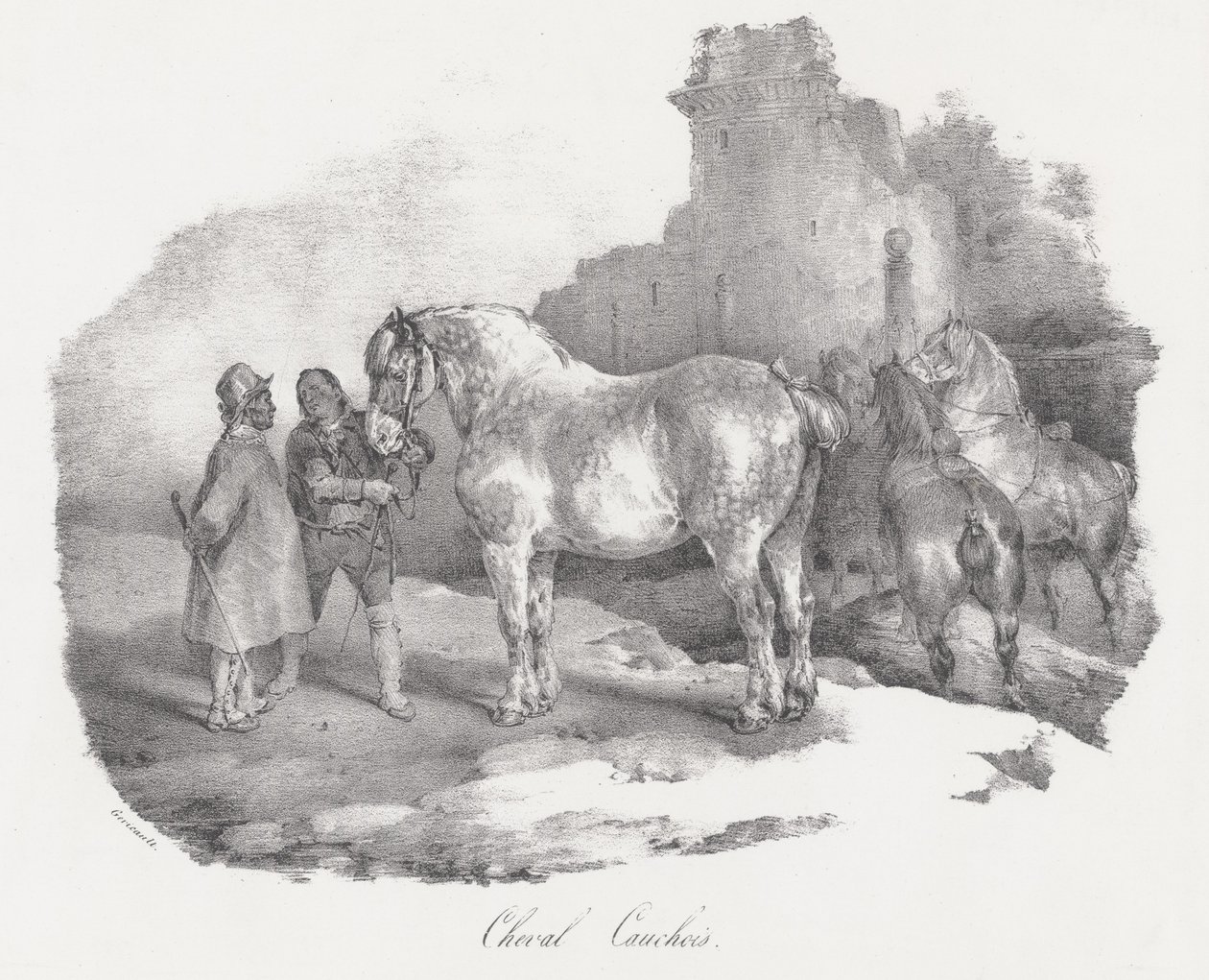 Cheval Cauchois (una razza equina autoctona di Caux, in Normandia) da Theodore Gericault