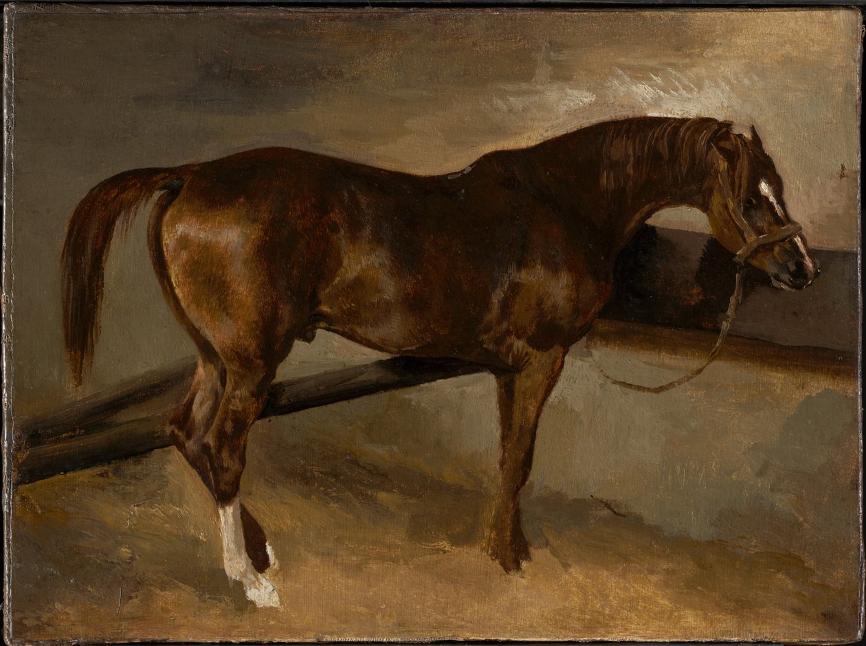 Derviscio nella sua stalla da Theodore Gericault