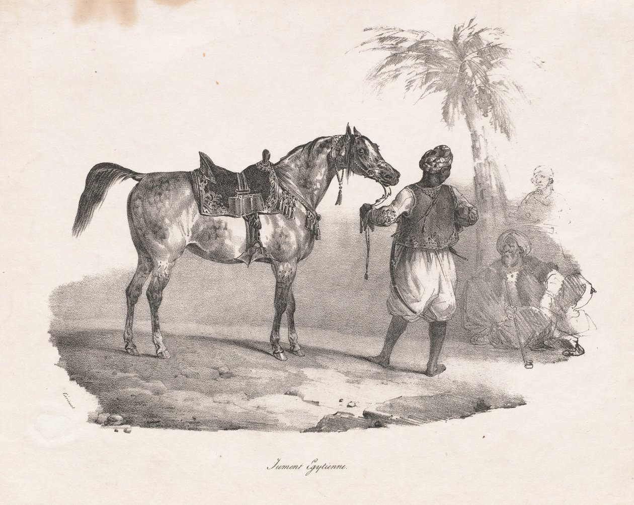Cavalla Egiziana da Theodore Gericault