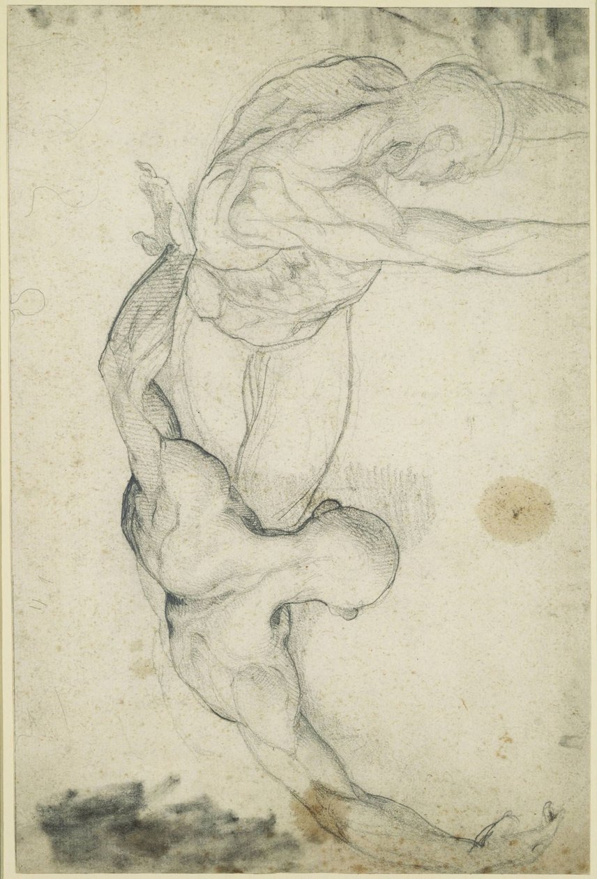 Cadaveri scuoiati: studio per *La zattera della Medusa* da Theodore Gericault