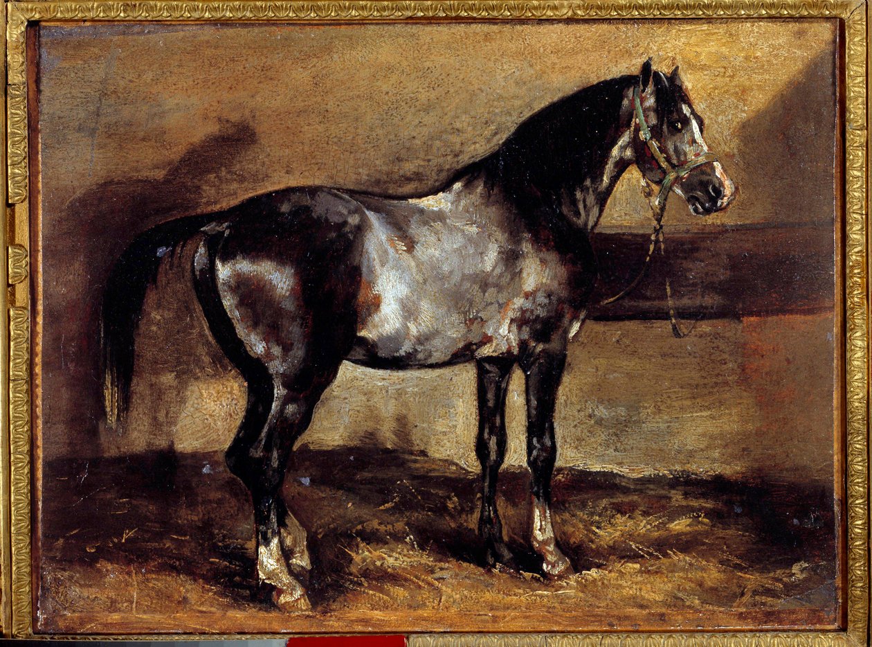Cavallo grigio al rastrello da Theodore Gericault