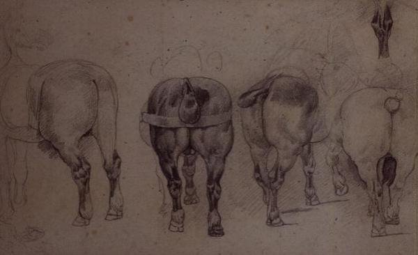 Cavalli imbrigliati da Theodore Gericault