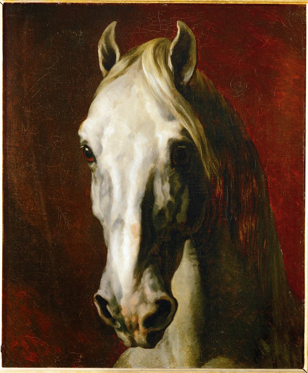 Testa di cavallo bianco ... da Theodore Gericault