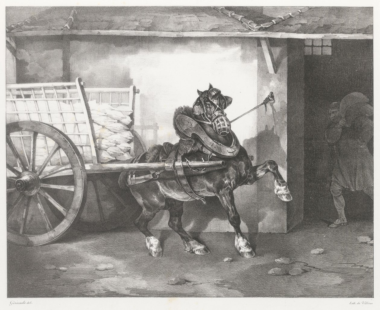 Il cavallo dell