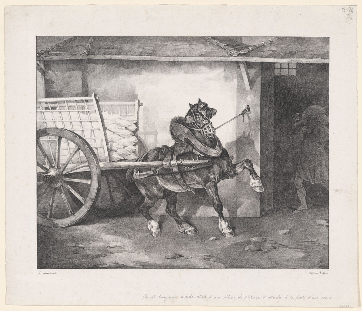Il cavallo dell
