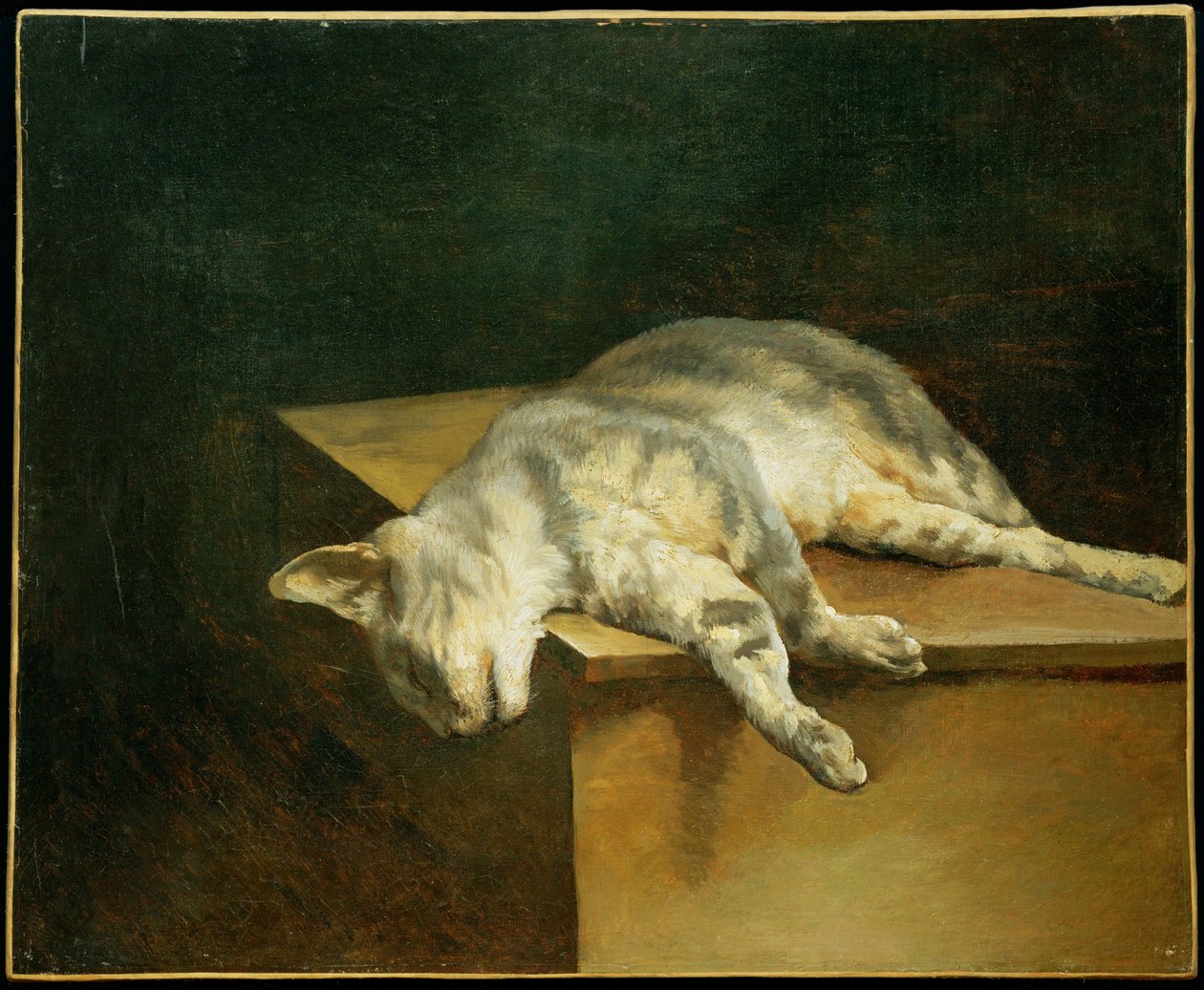 Le chat mort - Il gatto morto ... da Theodore Gericault
