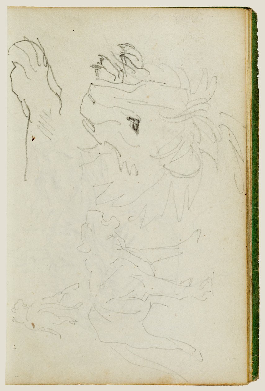Studi sui leoni da Theodore Gericault