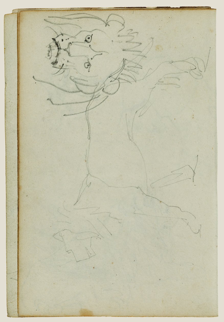 Leone che cammina, muso di leone da Theodore Gericault