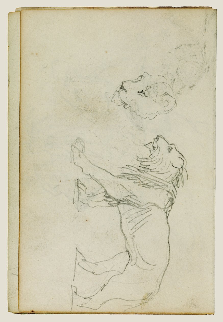 Leone che cammina, testa di leonessa da Theodore Gericault