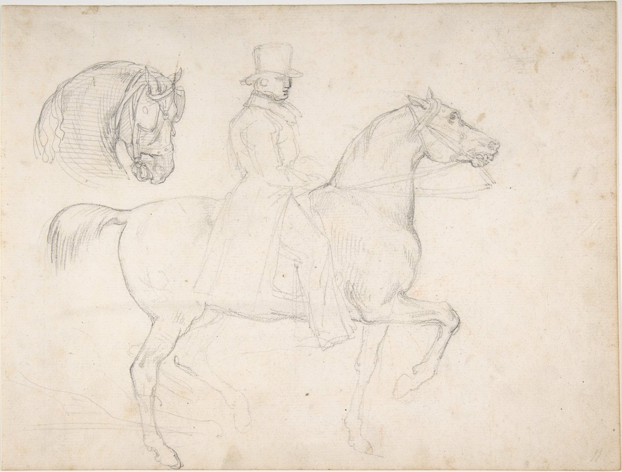 Uomo a cavallo e studio della testa di cavallo da Theodore Gericault