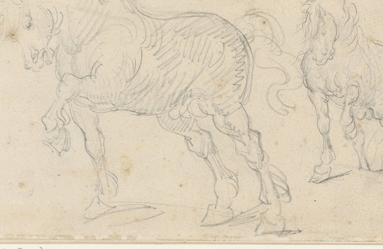 Studi sui cavalli da Theodore Gericault