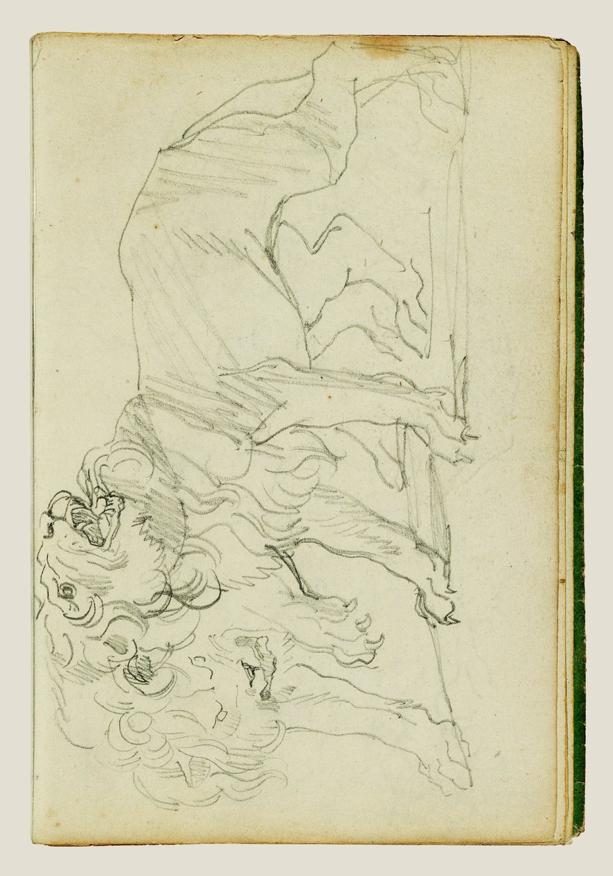 Coppia di leoni da Theodore Gericault