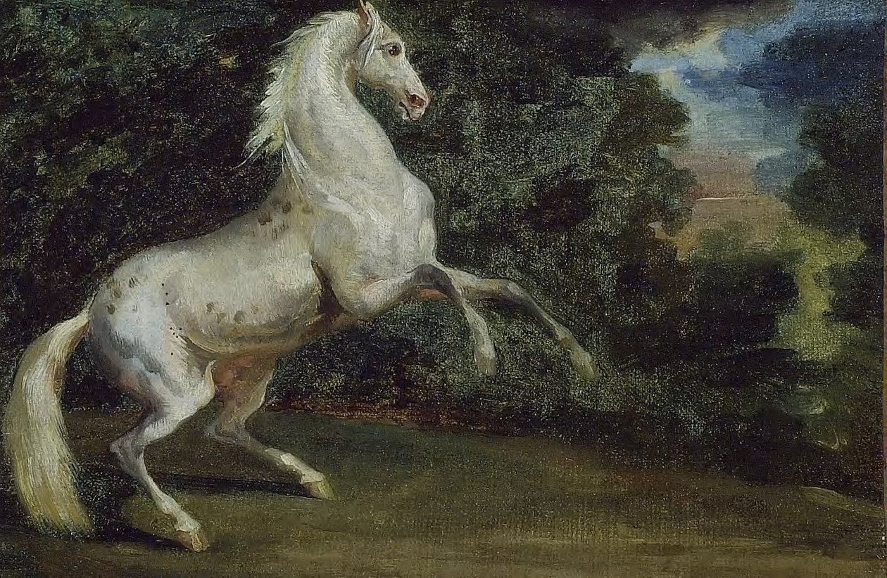 Cavallo impennato da Theodore Gericault