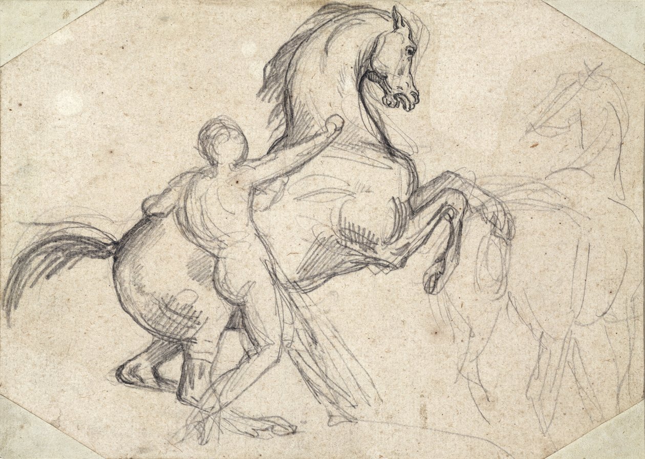 Stallone impennato tenuto da un uomo nudo da Theodore Gericault