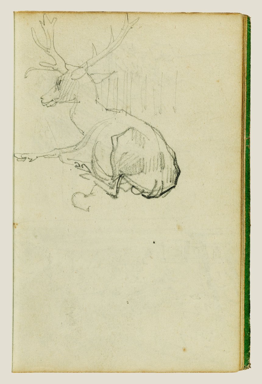 Cervo seduto da Theodore Gericault