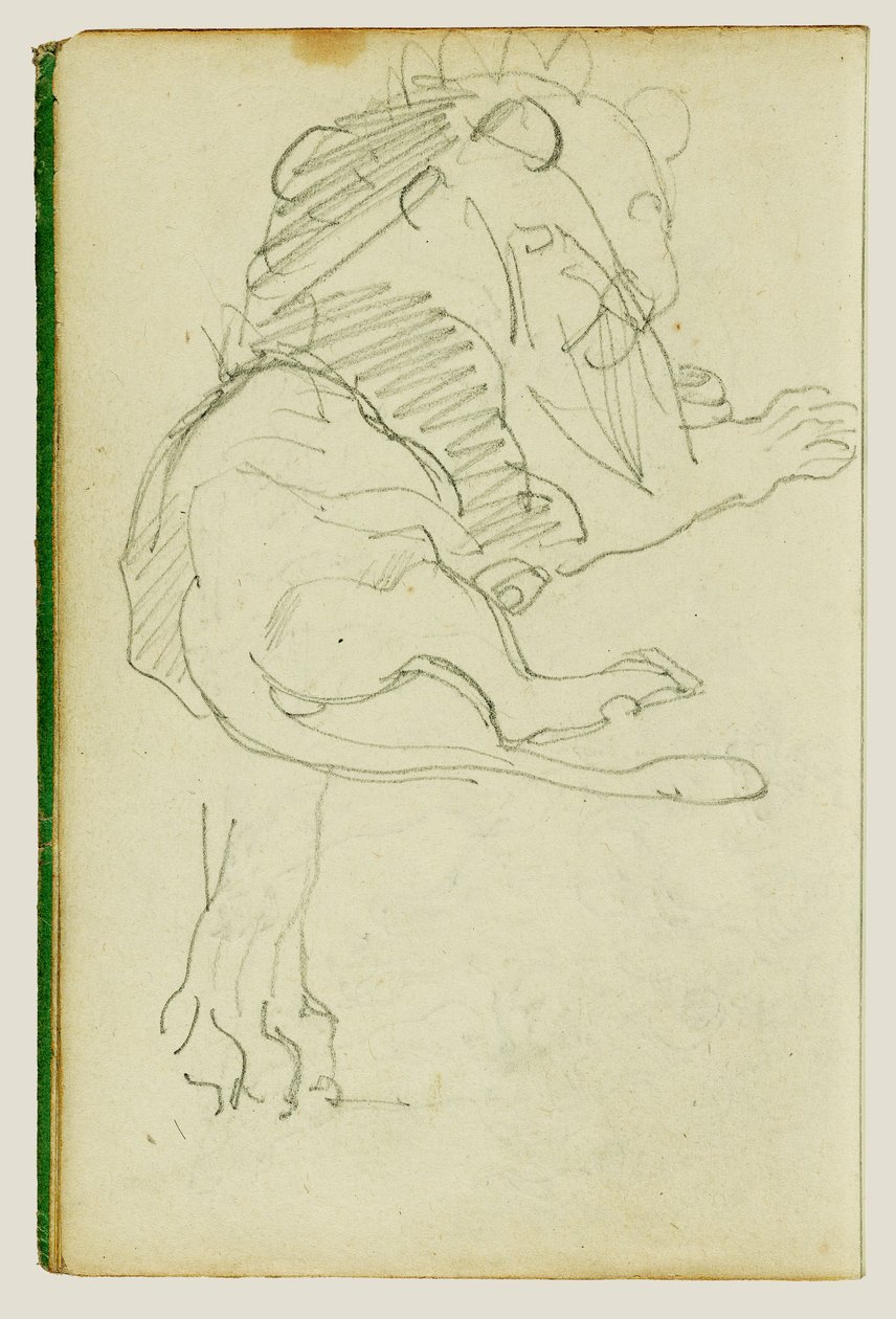 Leone seduto da Theodore Gericault