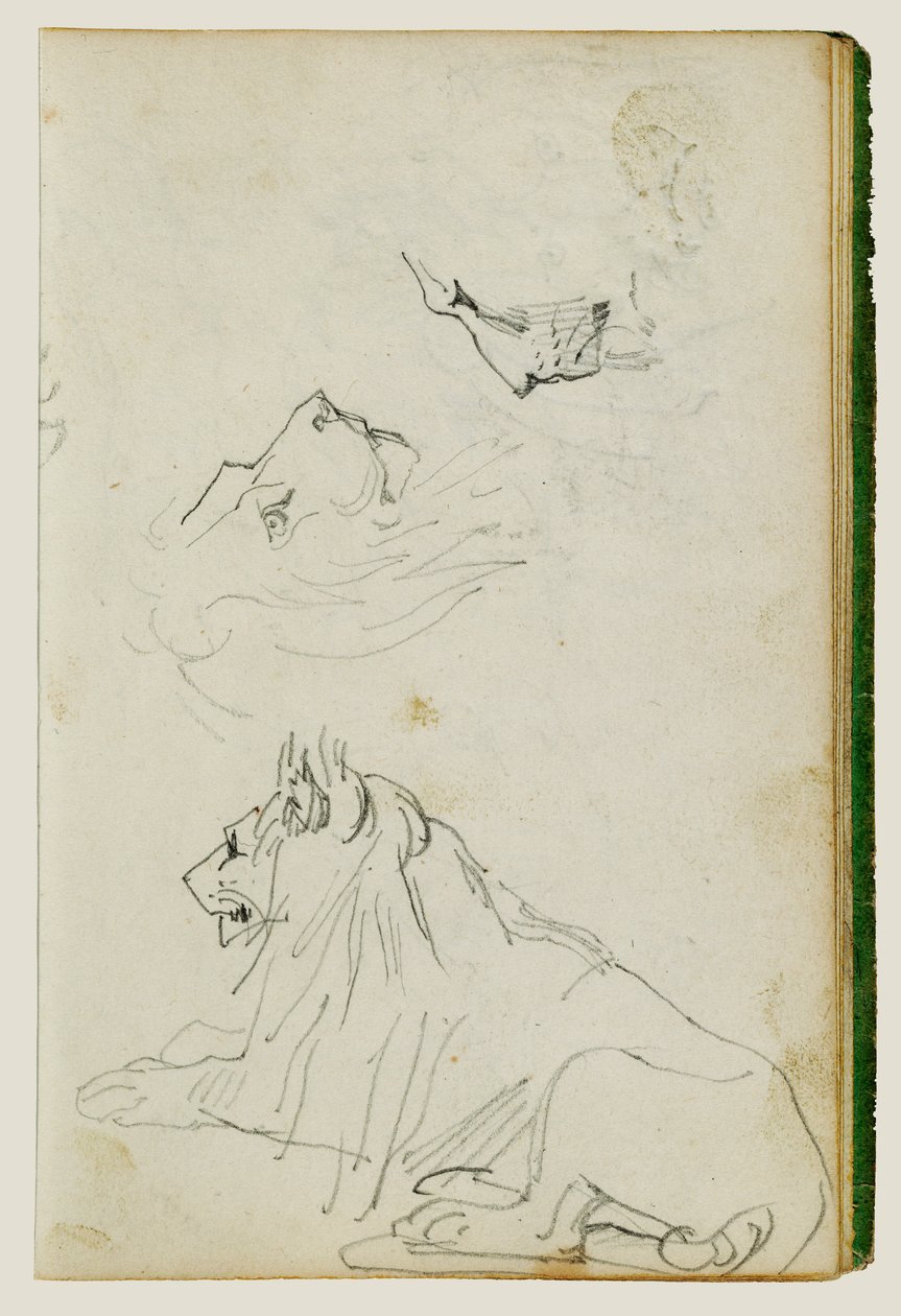 Leone seduto, due studi di teste di leone da Theodore Gericault