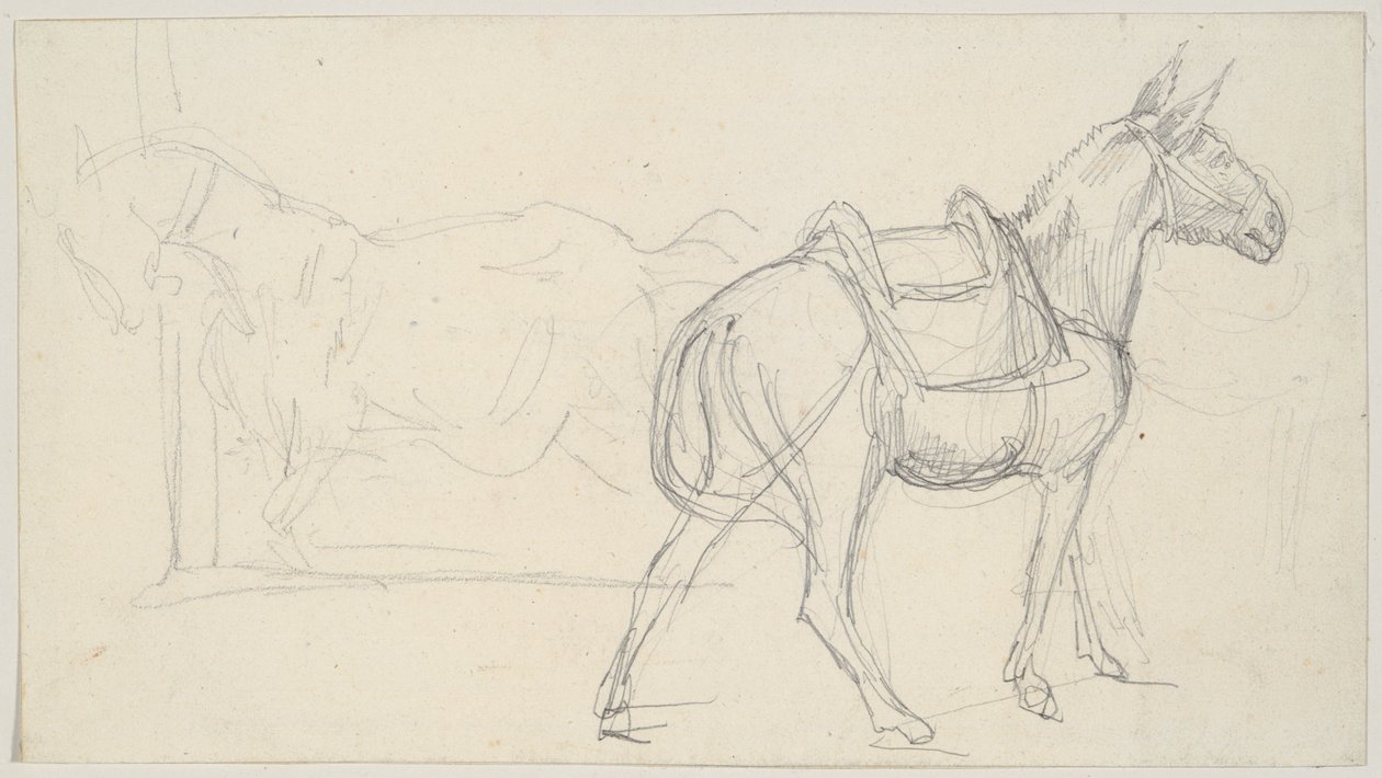 Schizzo di un cavallo da Theodore Gericault