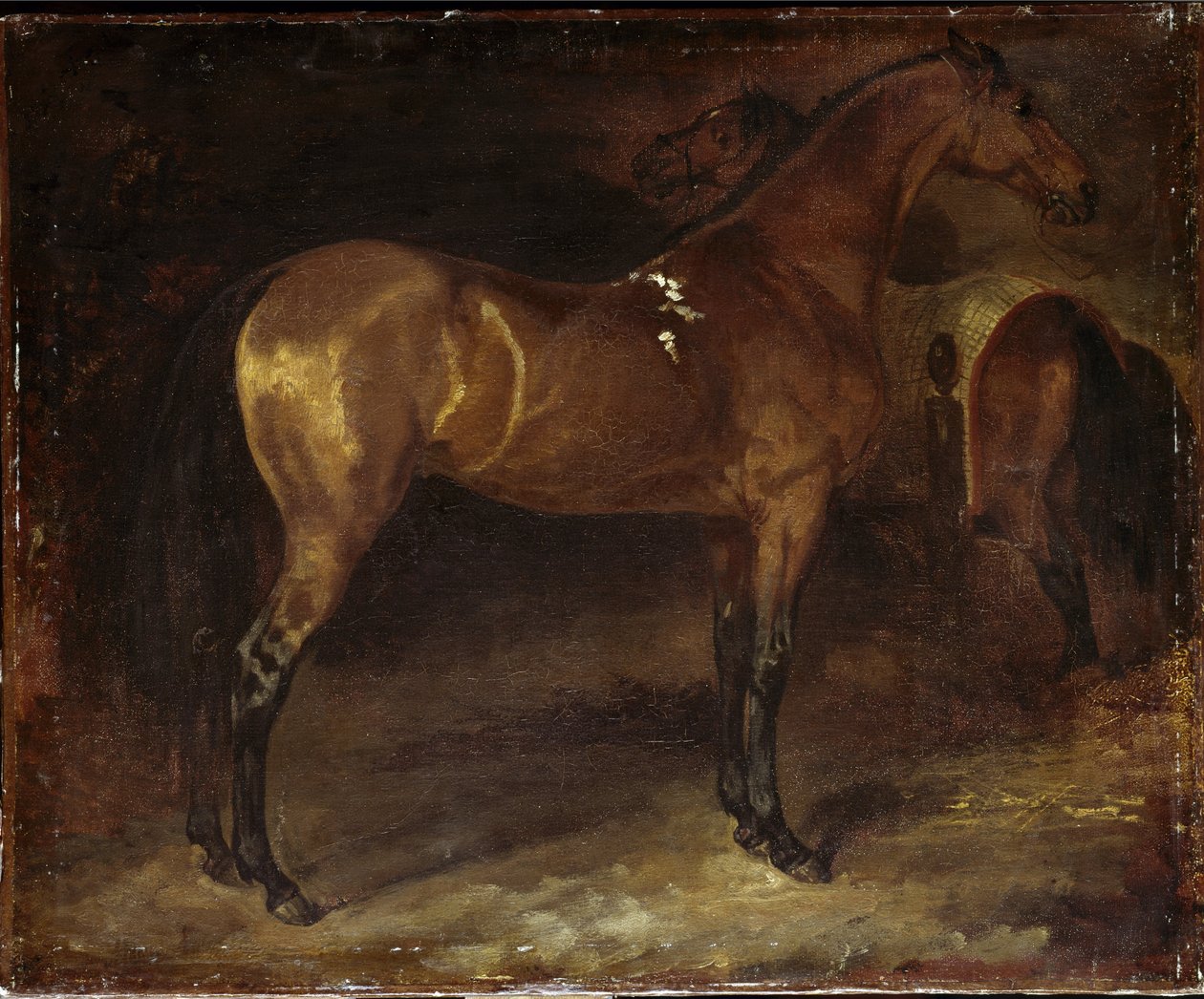 Cavallo spagnolo da Theodore Gericault