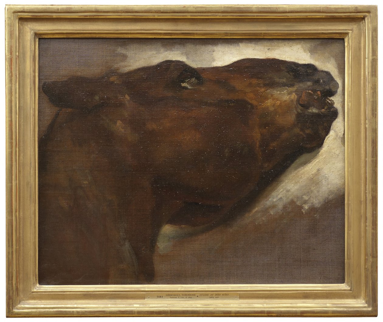 Studio di un cavallo morto da Theodore Gericault