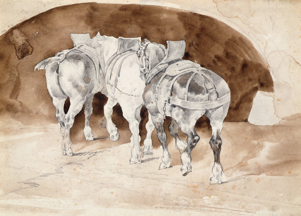 Tre cavalli pesanti con imbracatura da Theodore Gericault