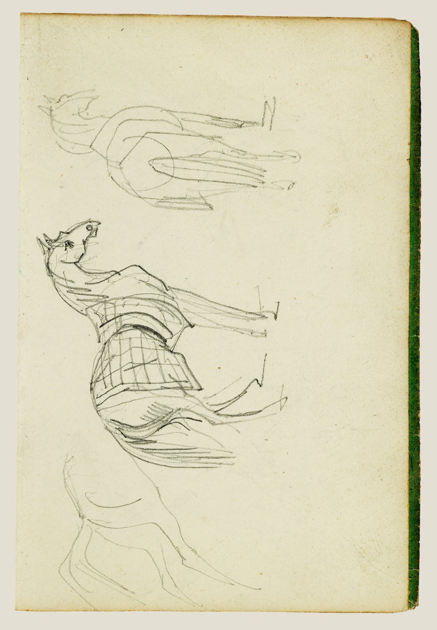 Tre studi sui cavalli da Theodore Gericault