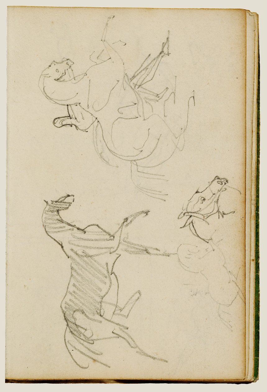 Tre studi sui cavalli da Theodore Gericault