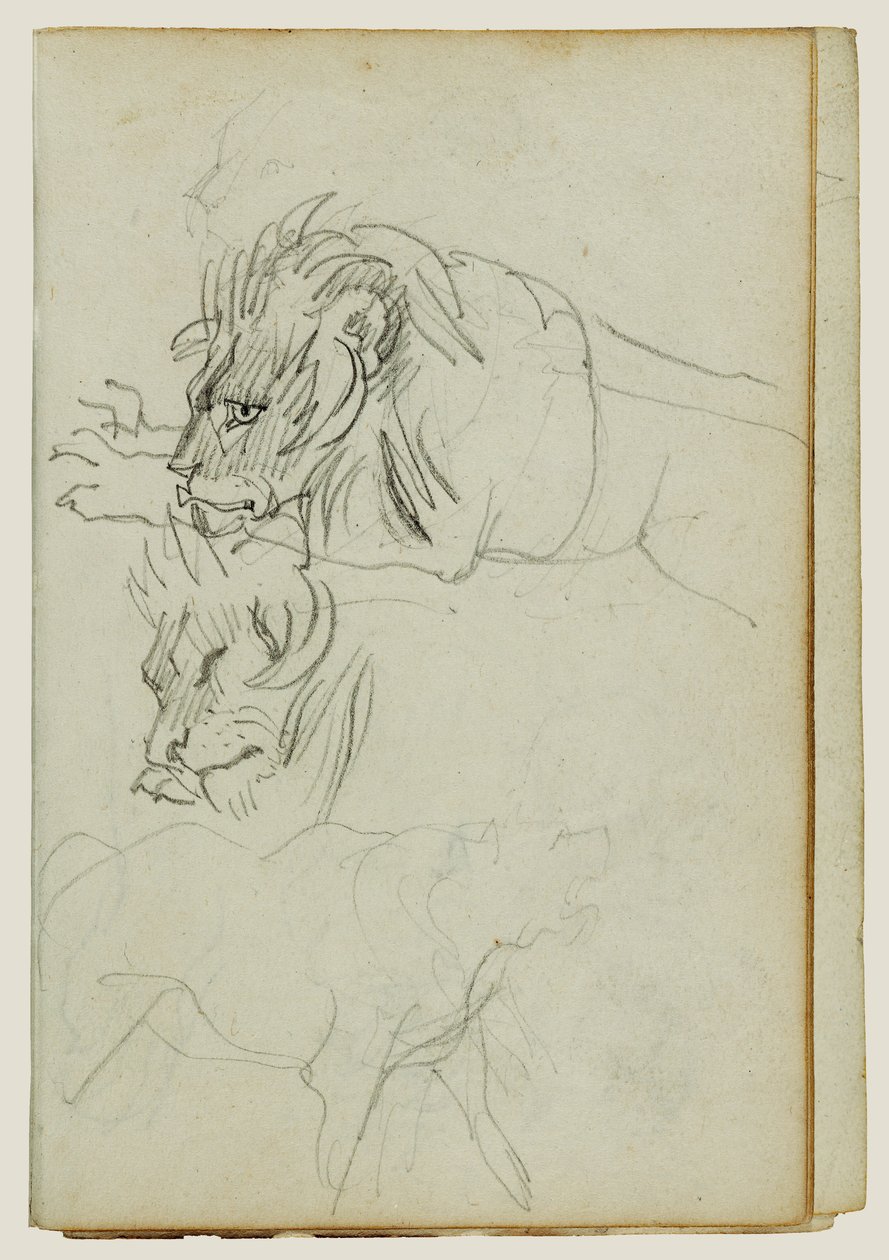 Tre studi sui leoni da Theodore Gericault