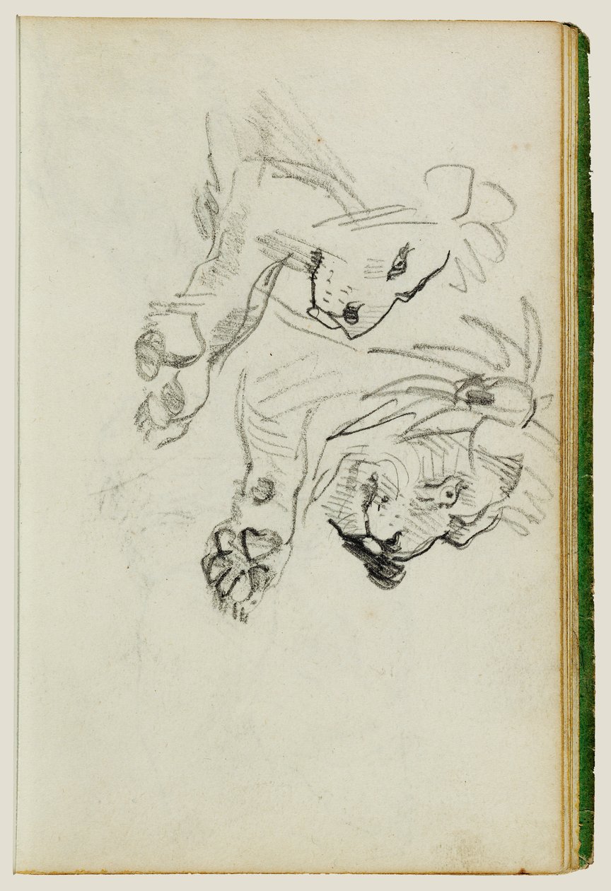 Due studi sui leoni da Theodore Gericault