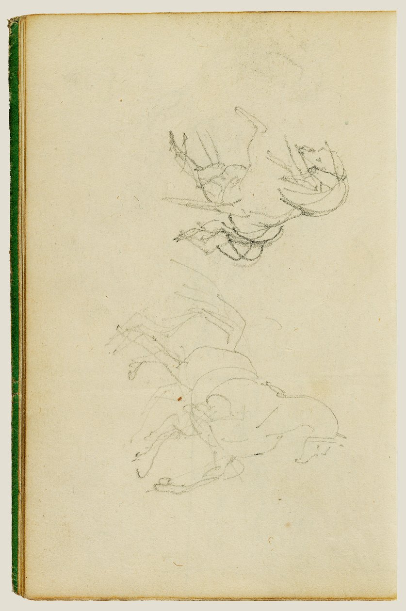 Due studi su un cavallo in fase di allevamento da Theodore Gericault