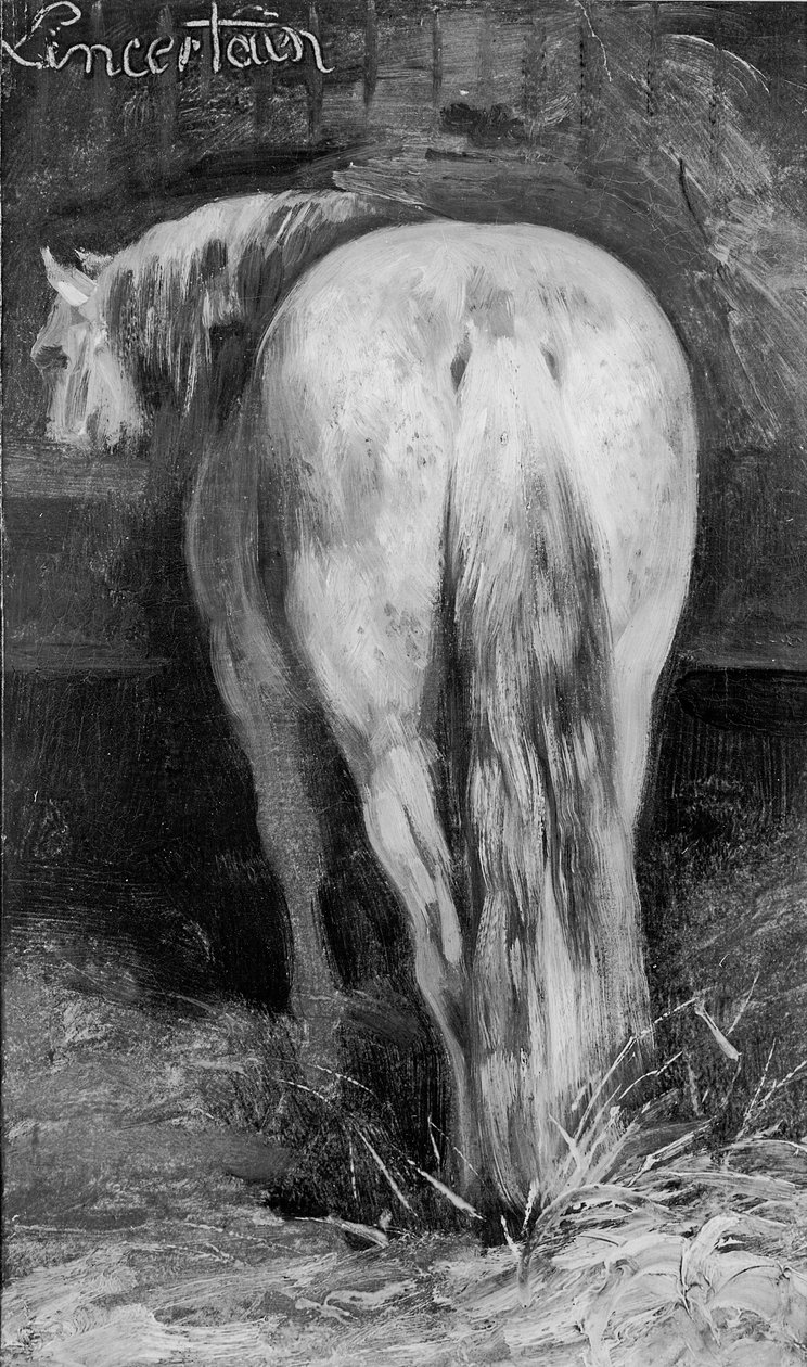 Incerto, il cavallo nella stalla da Theodore Gericault