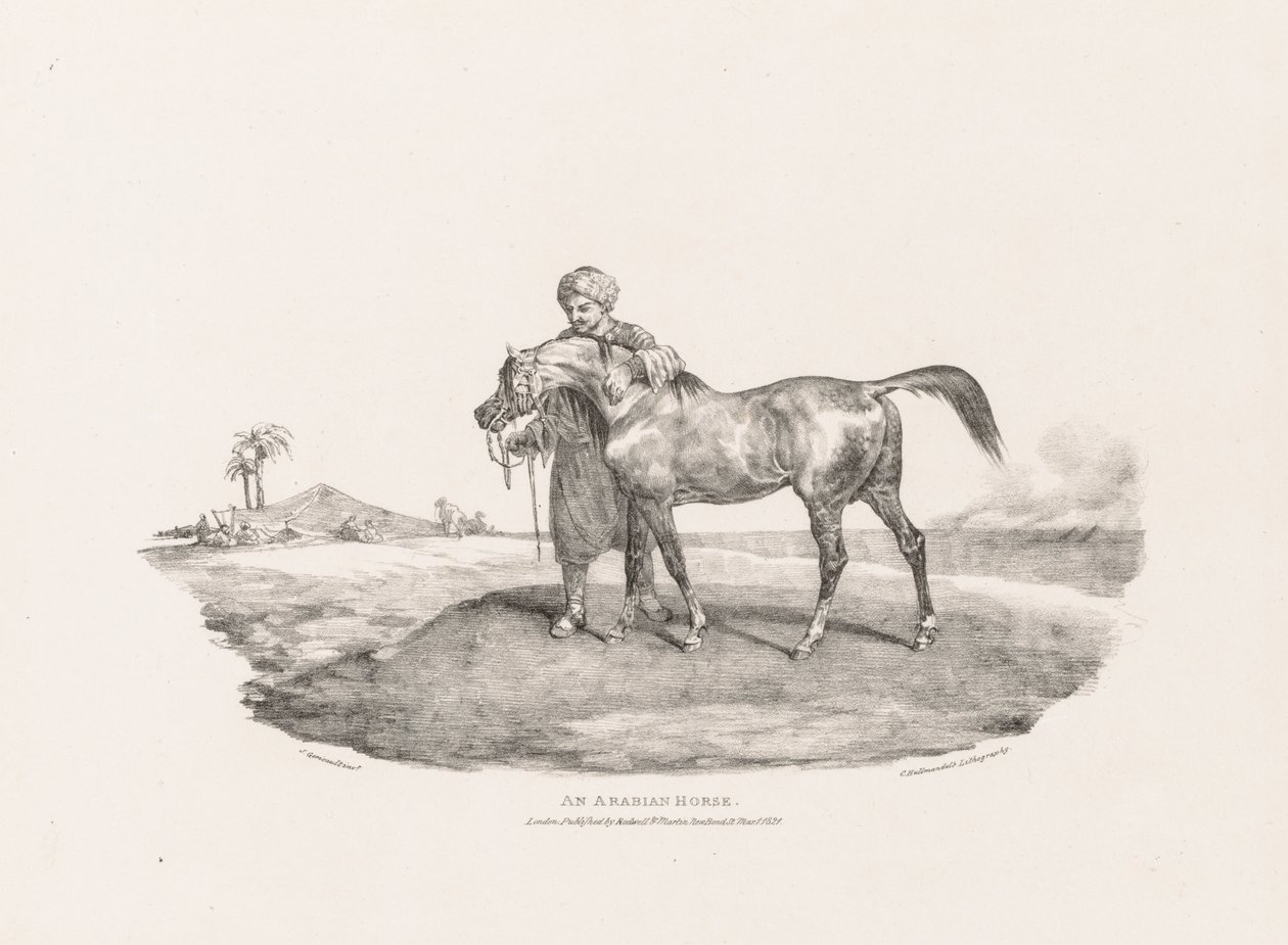 Vari soggetti disegnati dal vero e su pietra: un cavallo arabo da Theodore Gericault
