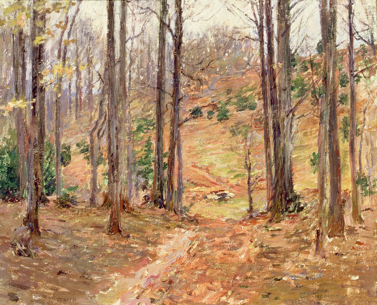 Boschi della Virginia da Theodore Robinson