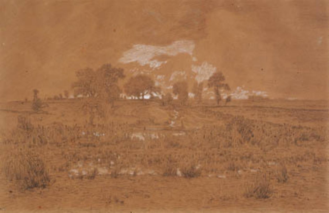 Paesaggio serale con una palude da Theodore Rousseau